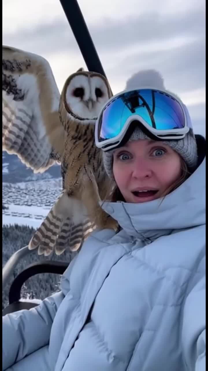 Не ИИ