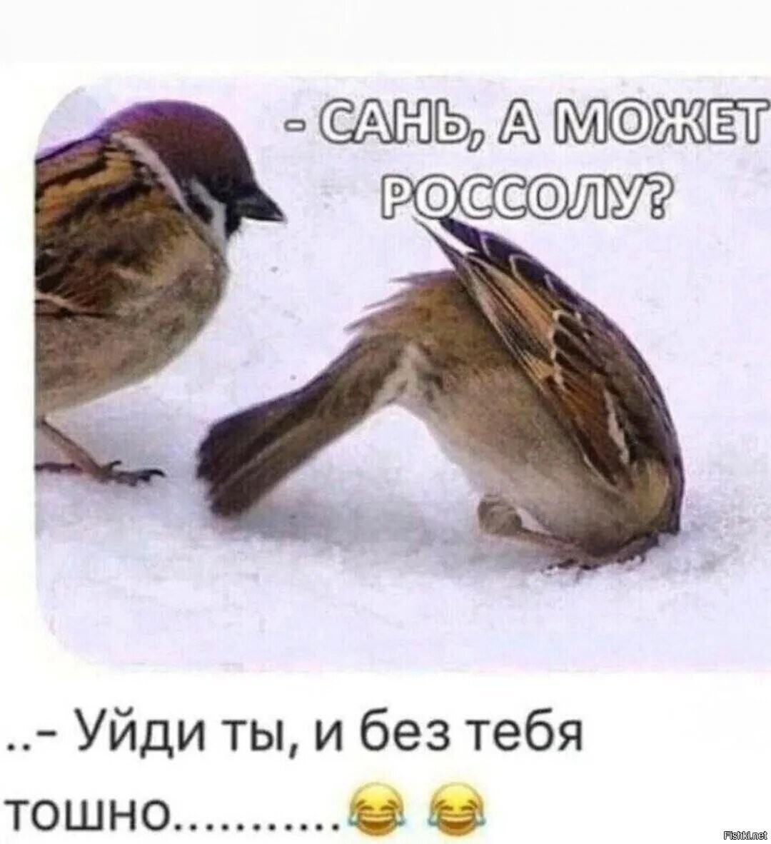 Солянка