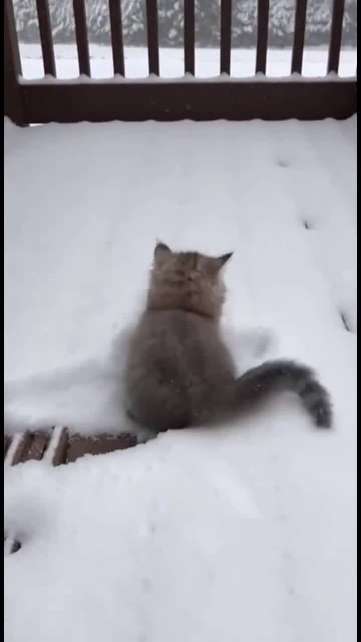Первый снег)