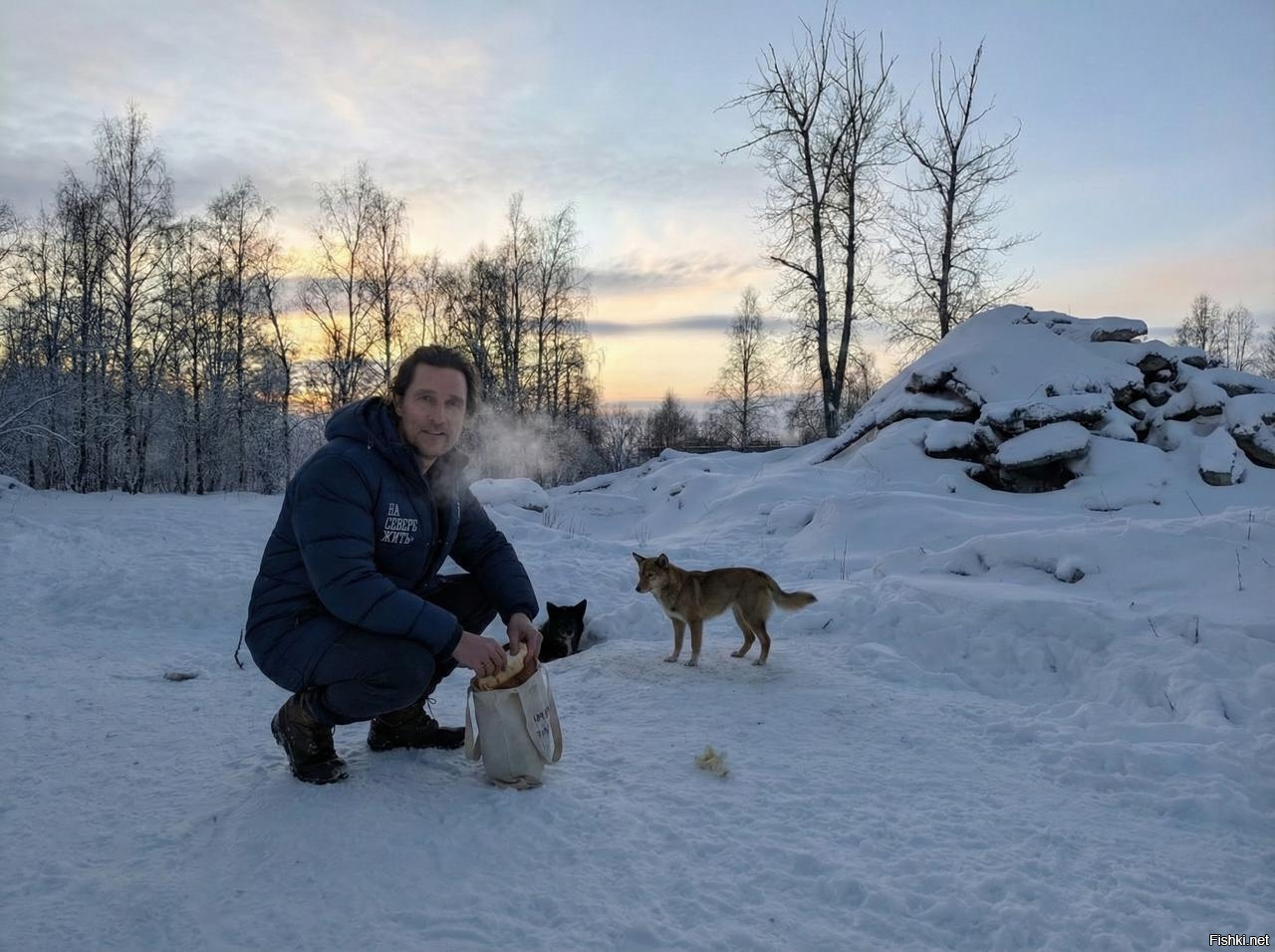 Здравствуйте товарищи