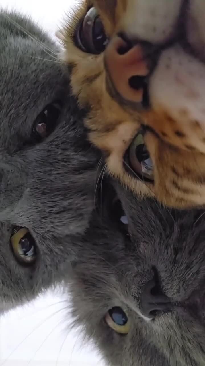 Наташ, вставай