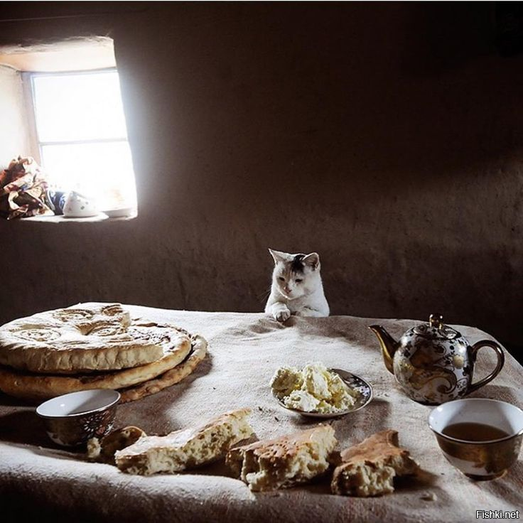 Забаненный,причины не знающий