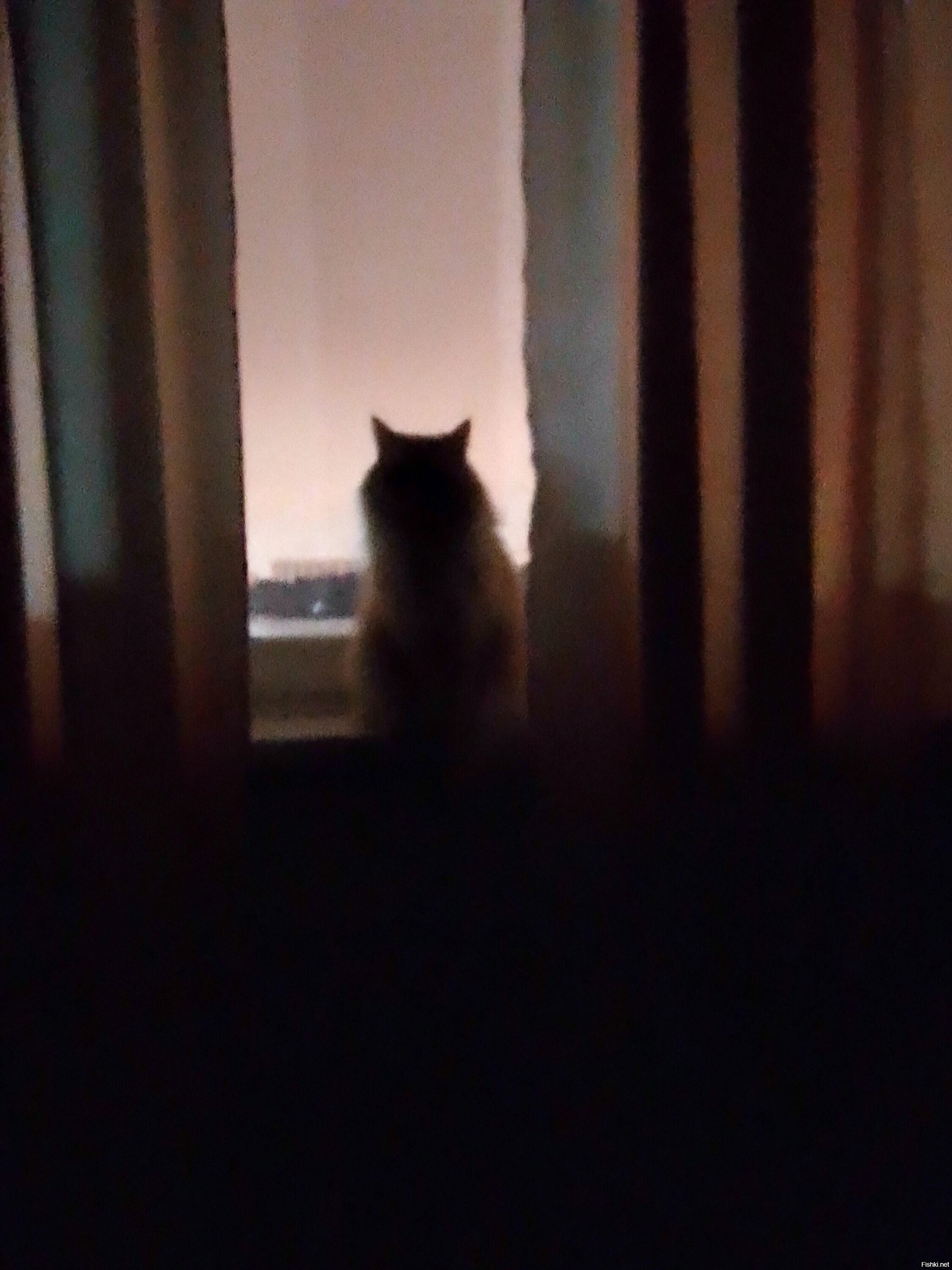 Спи, засыпай, веки тяжелеют