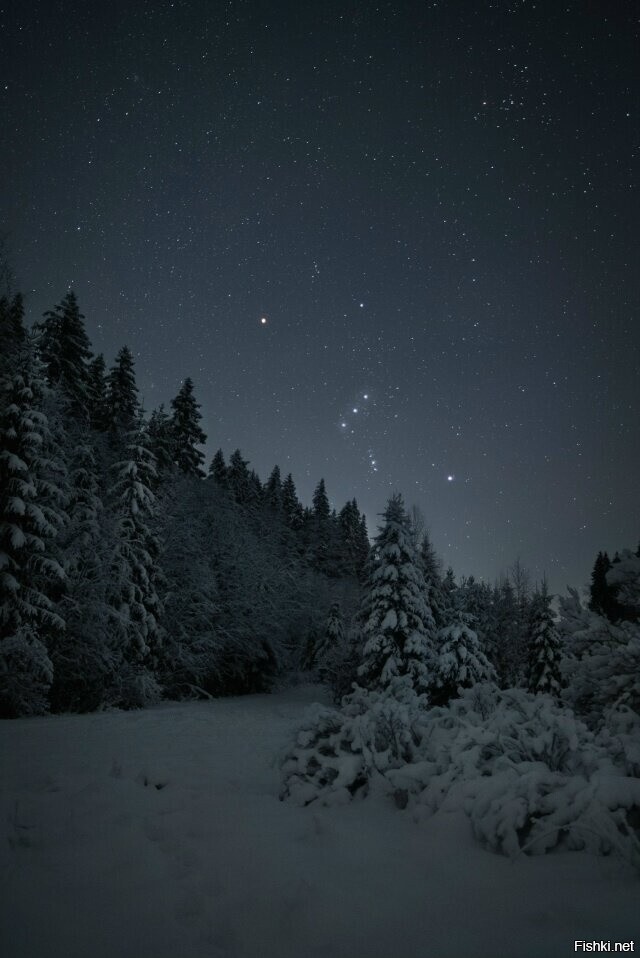 Орион