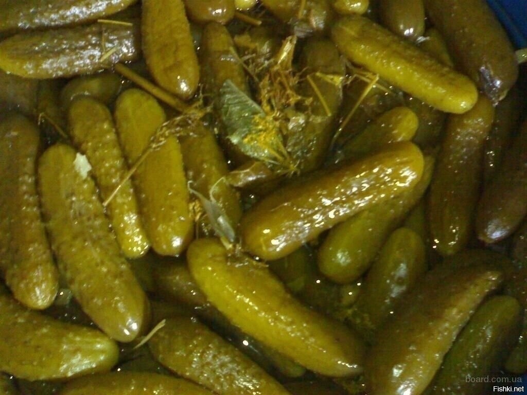 Солянка
