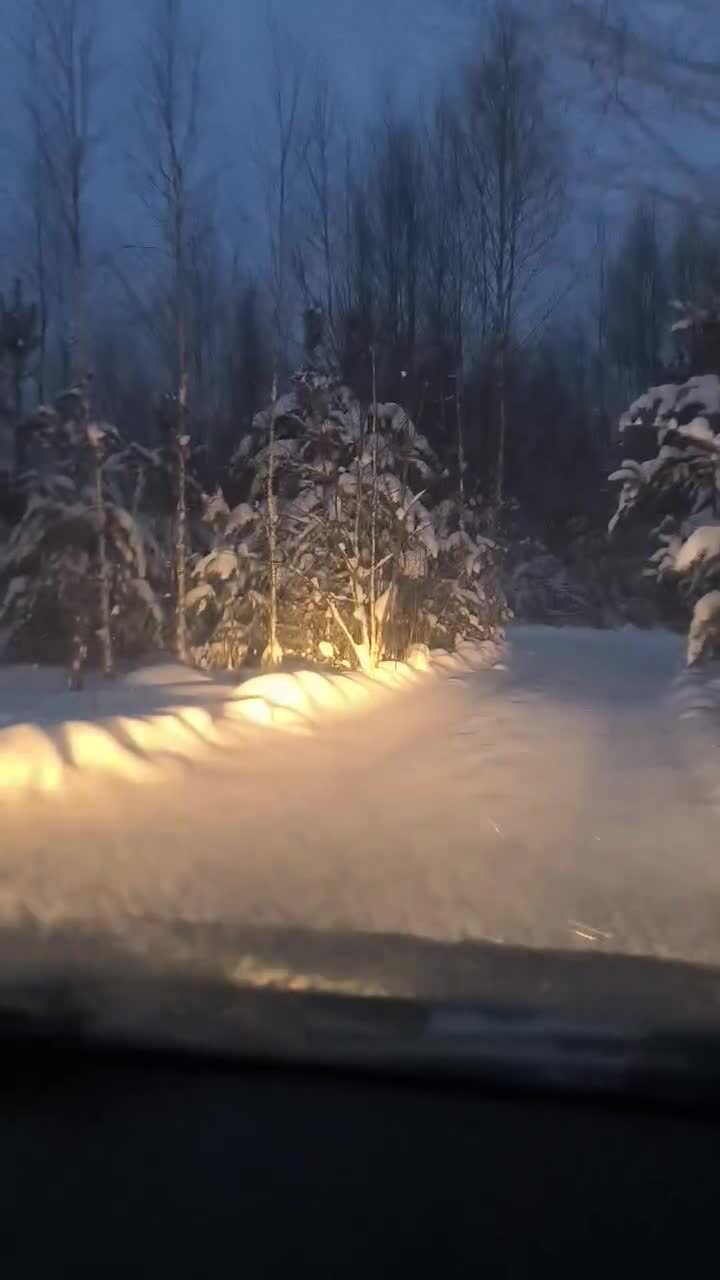 Где то под Гродно
