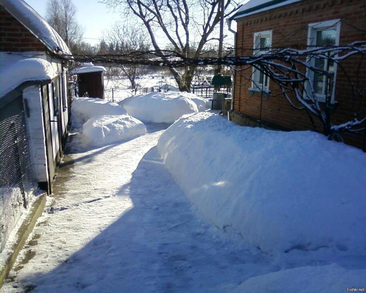 Солянка