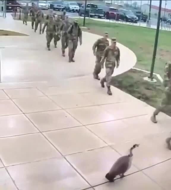 Взбучка :-)