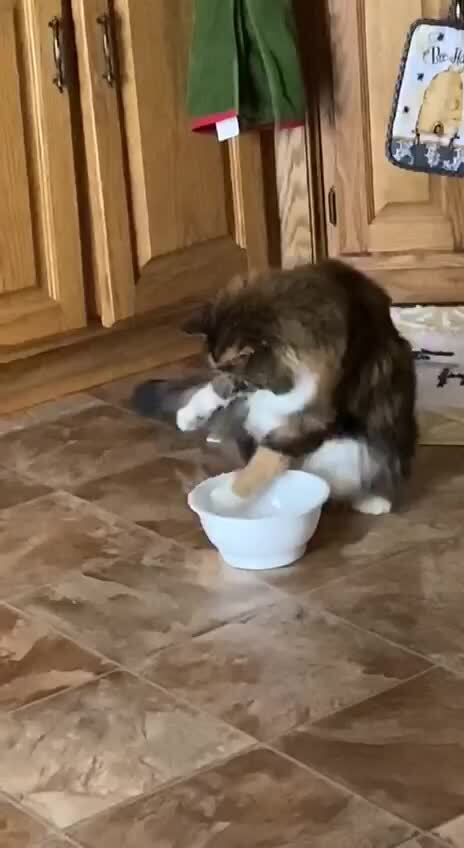 Солянка