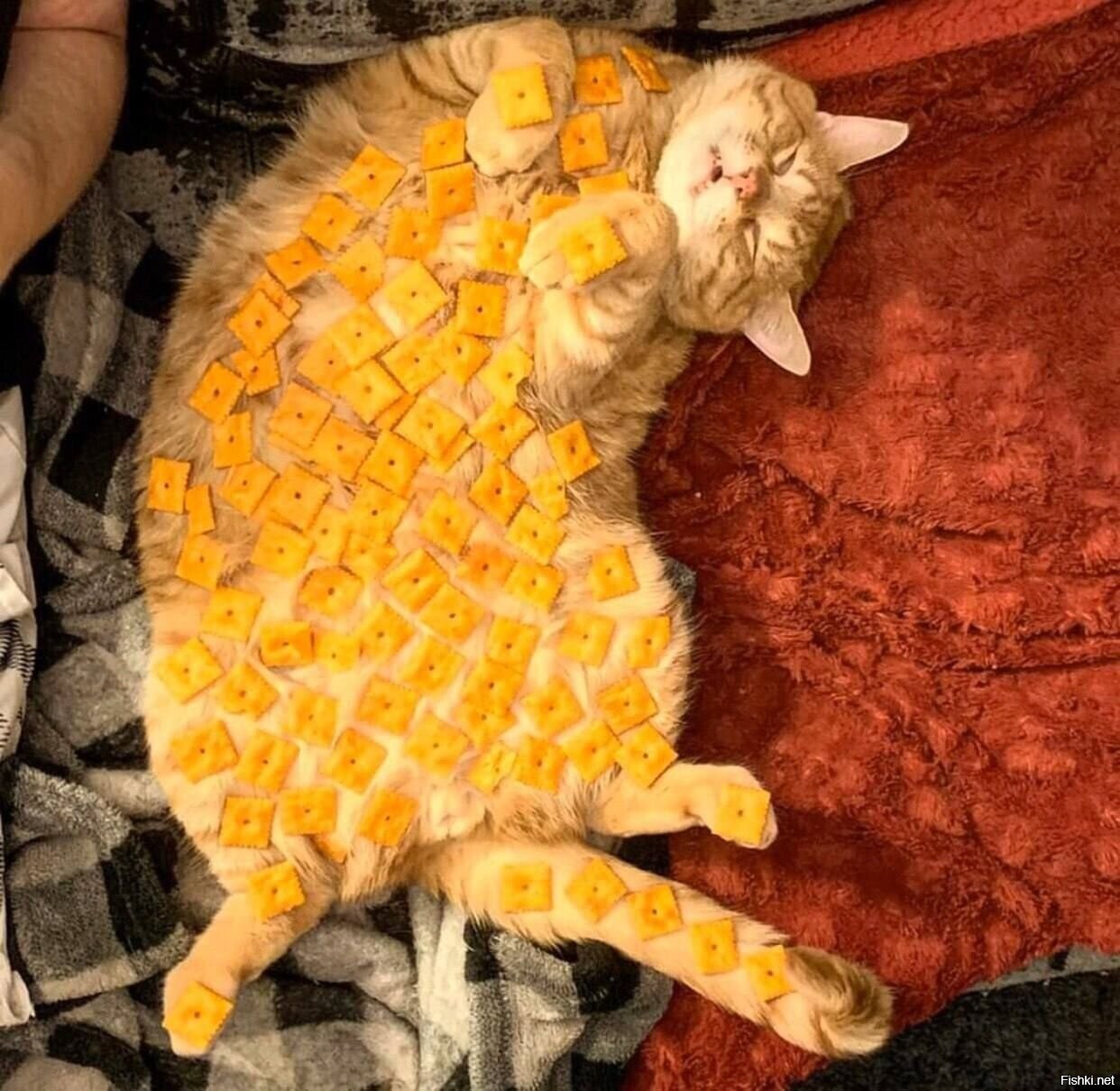 Солянка