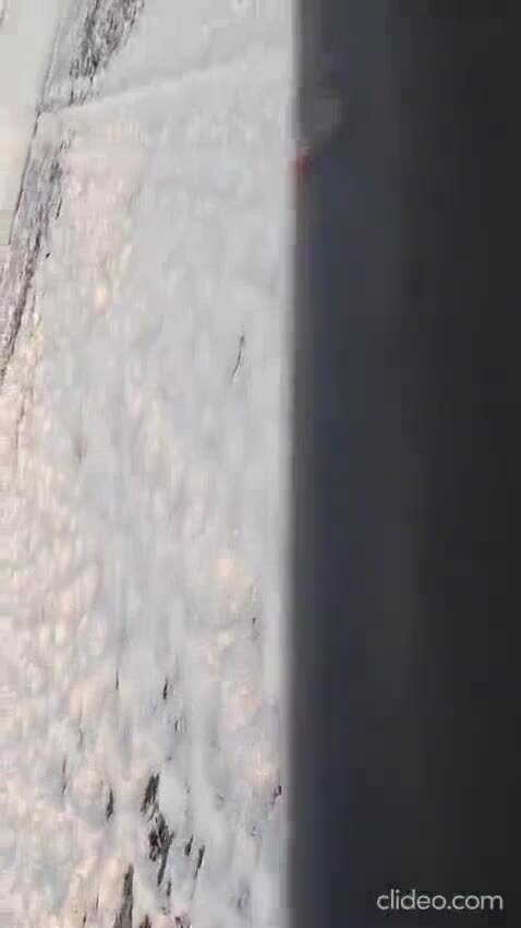 Воришка на рыбалке