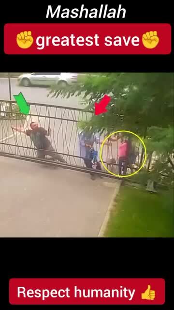 Всем миром