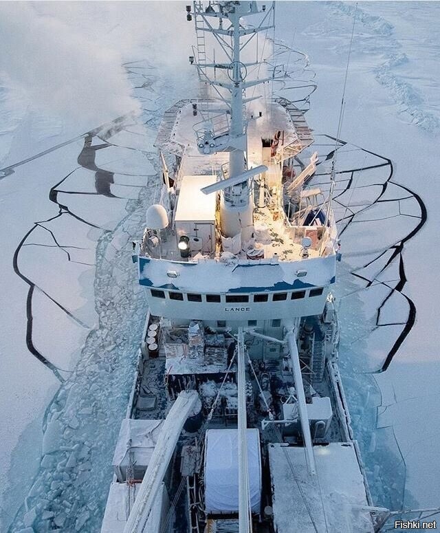 Солянка