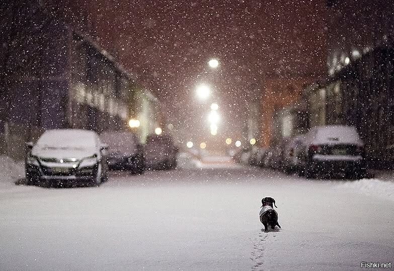 Солянка