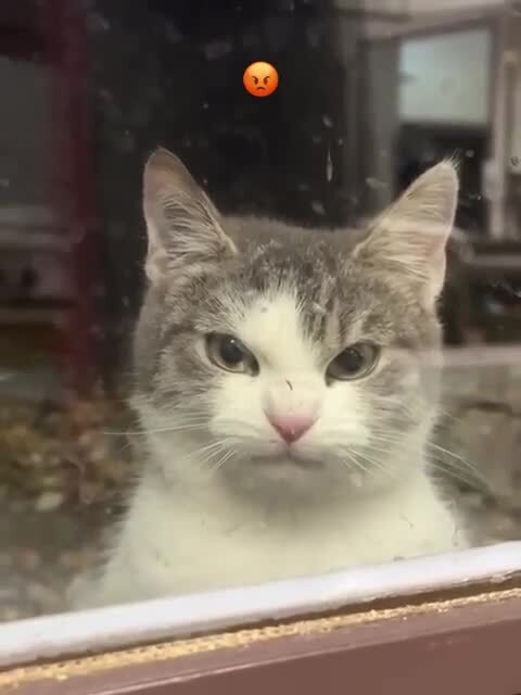 Вахтёр)