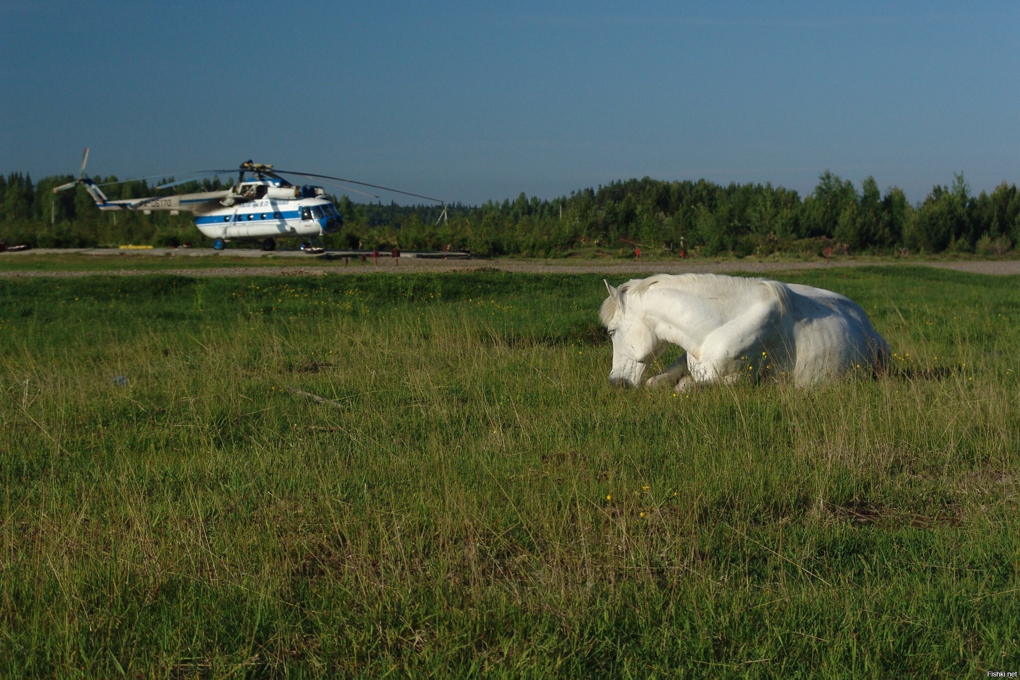 Солянка
