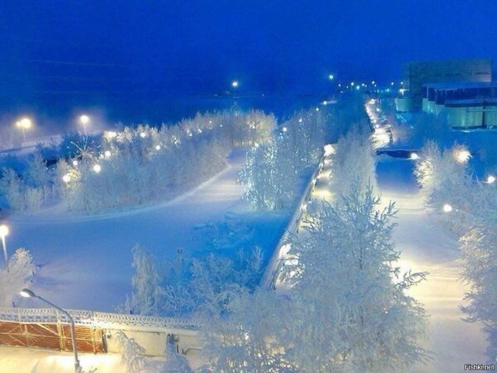 Солянка