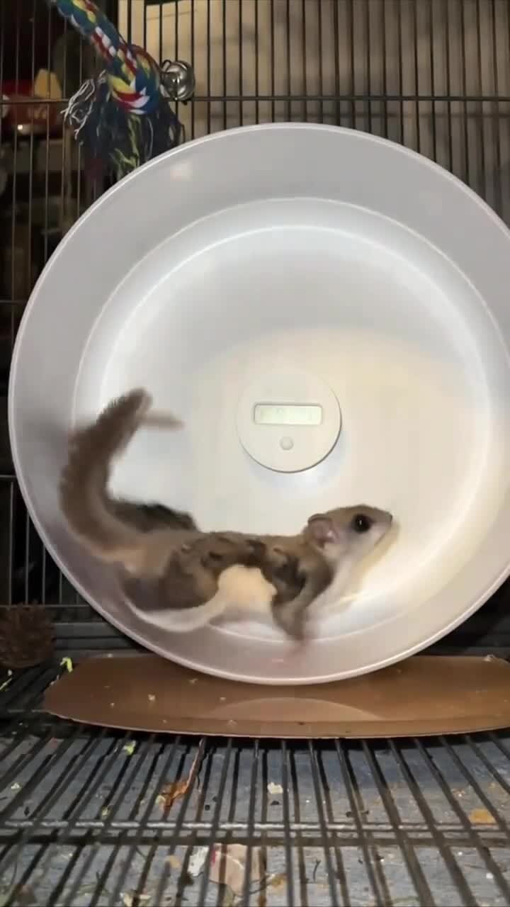 Бегун и космонавт