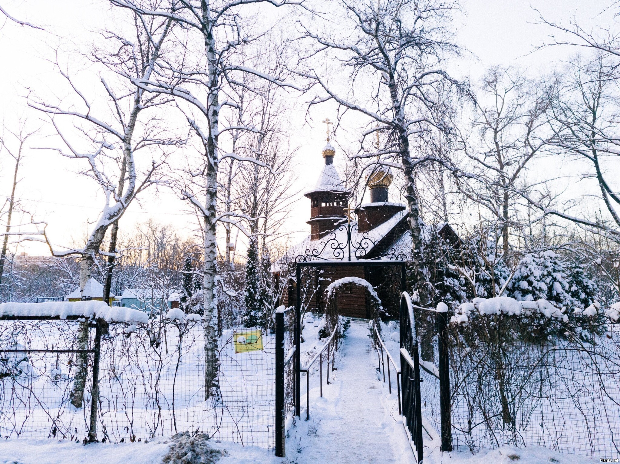 Солянка