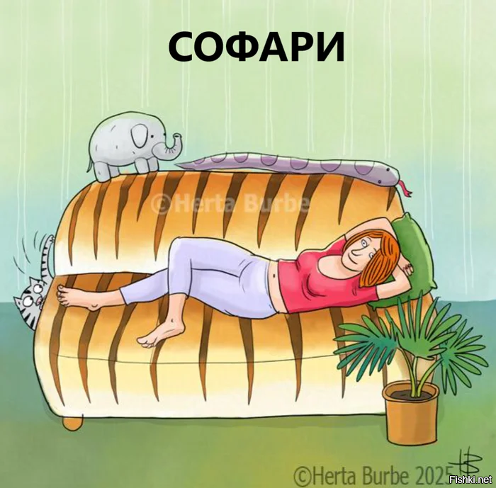 Солянка