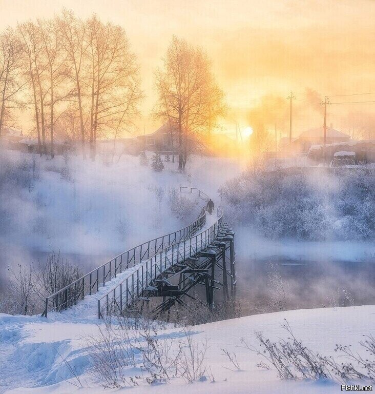 Солянка