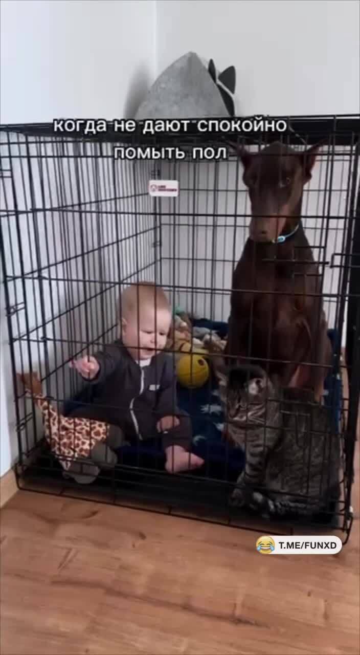 Выход найден )))