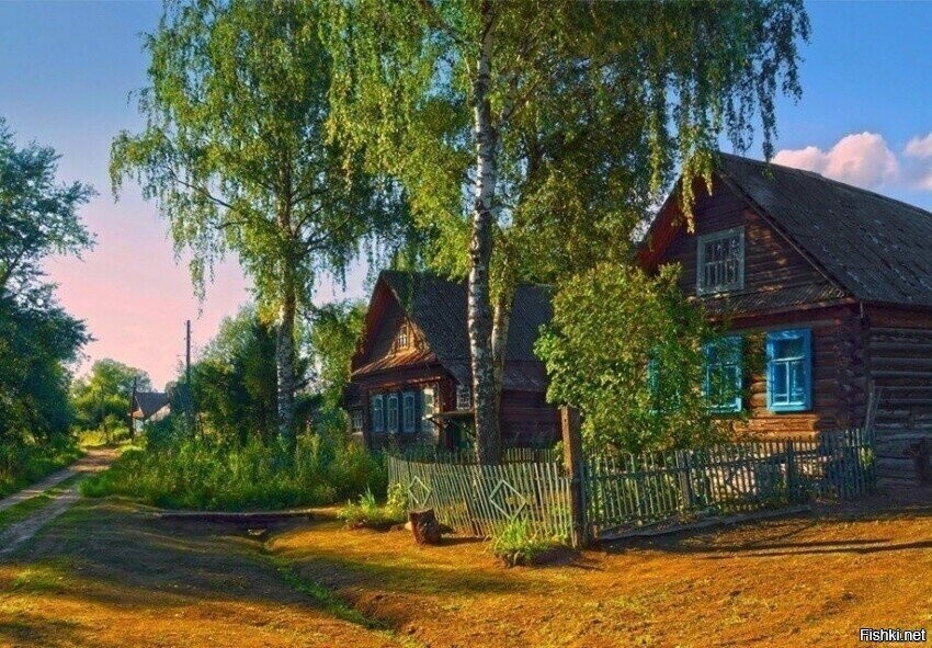 Солянка