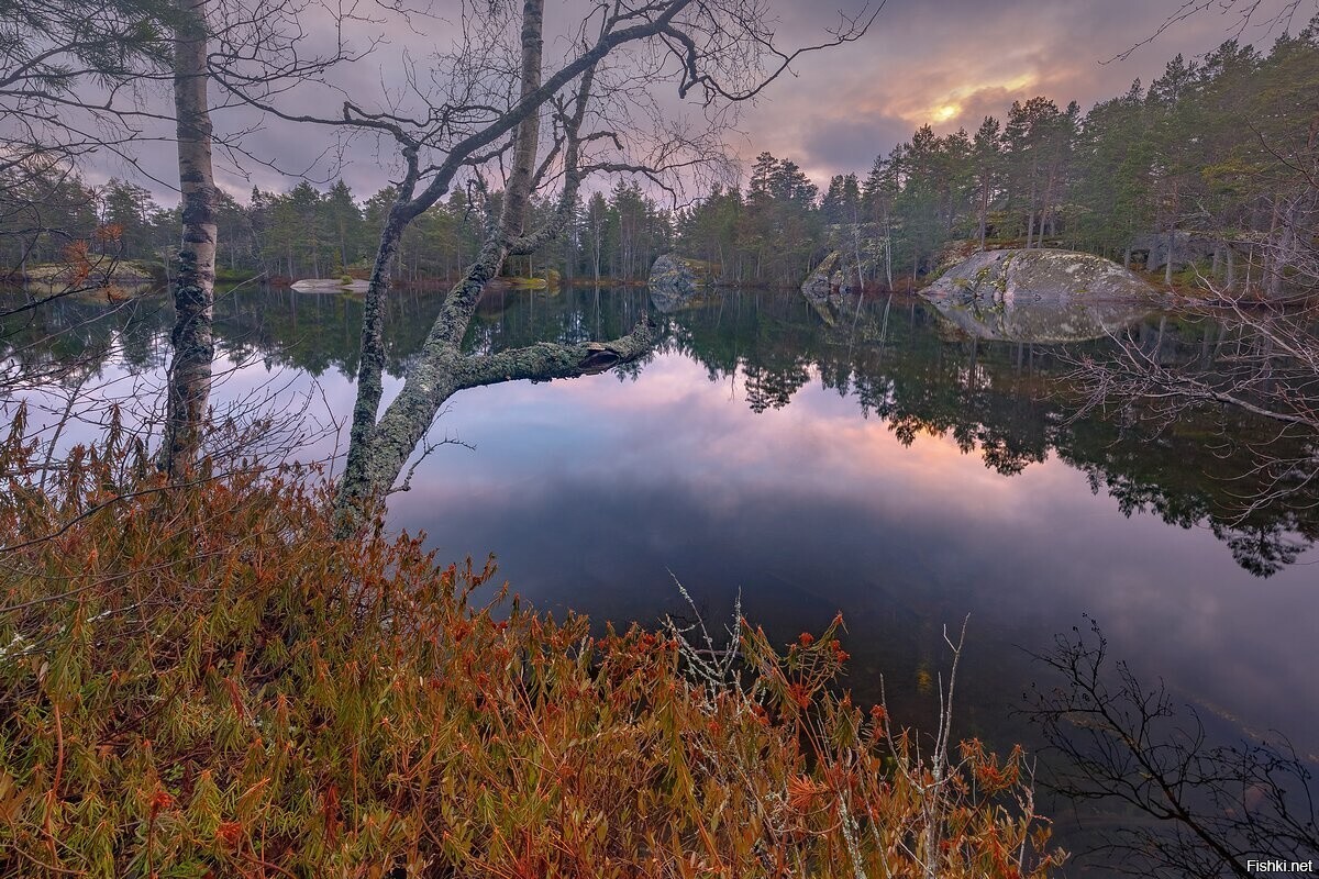 Солянка