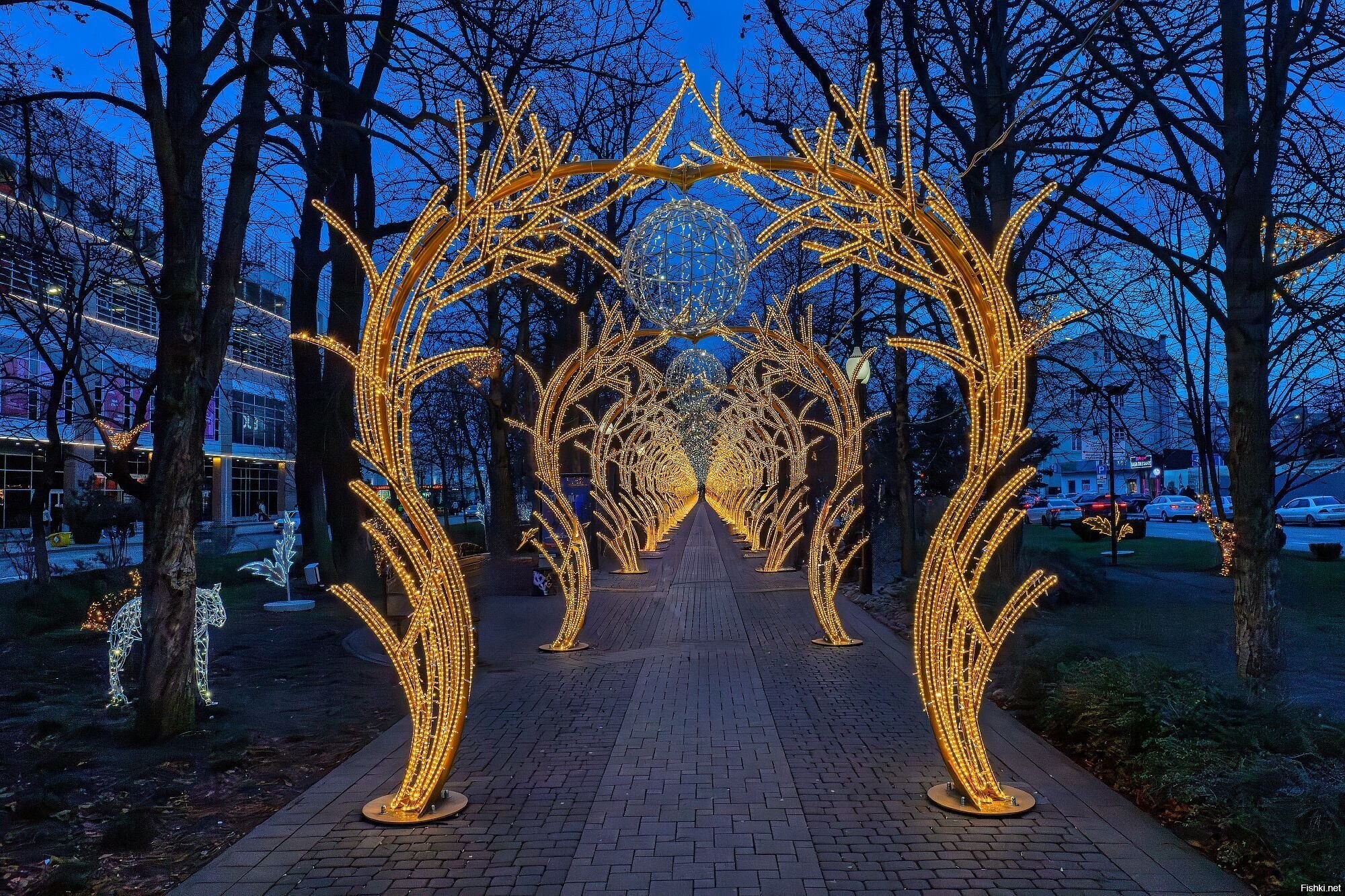 Солянка
