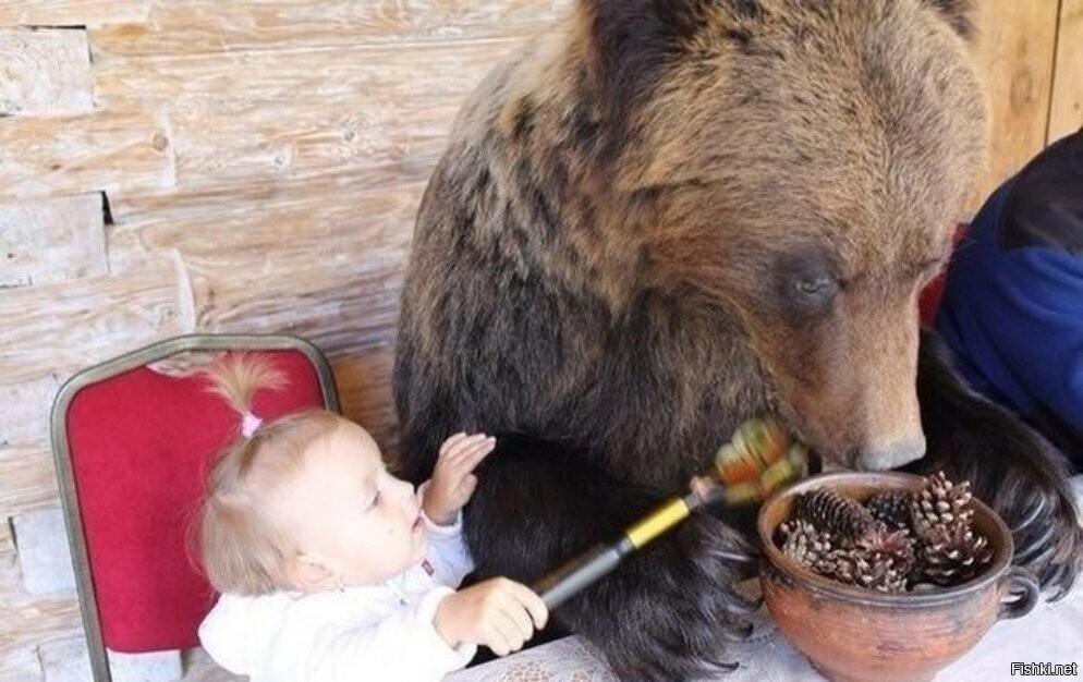 Типичный завтрак в России 