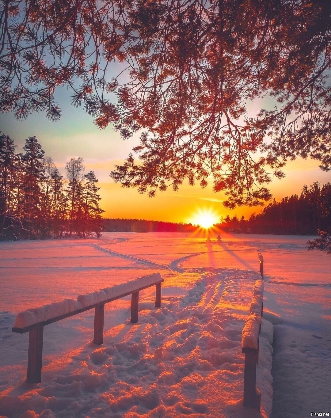 Солянка