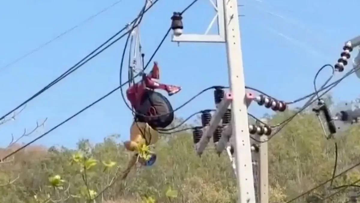 Экстремал потерял контроль над парапланом и зацепился за высоковольтный столб
