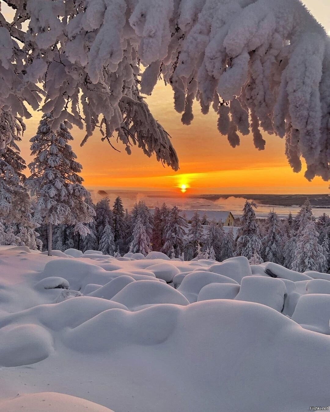 Солянка