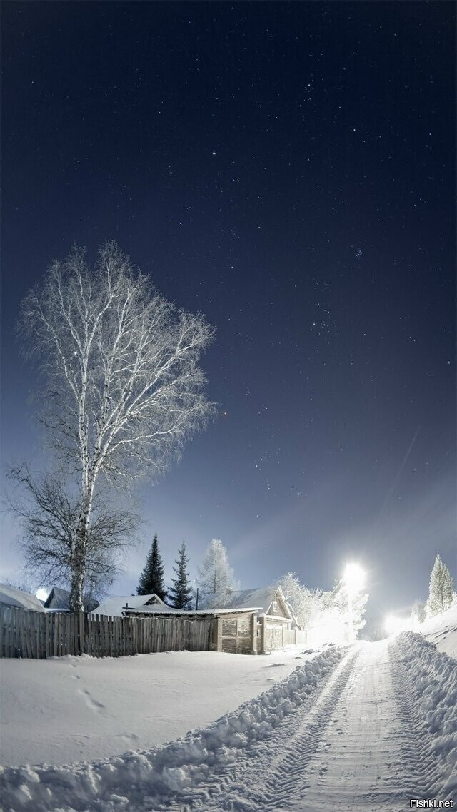 Солянка