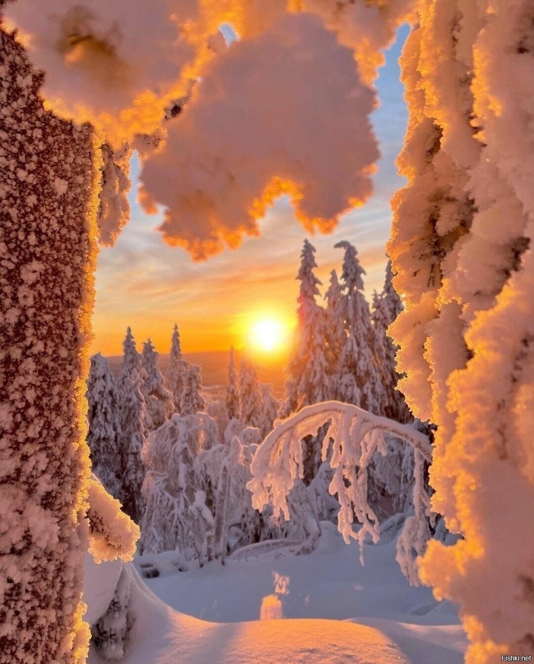 Солянка