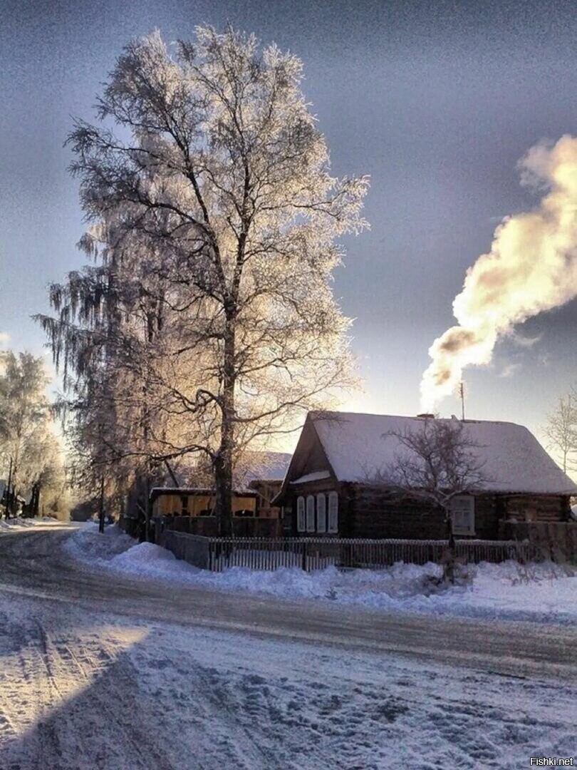 Солянка