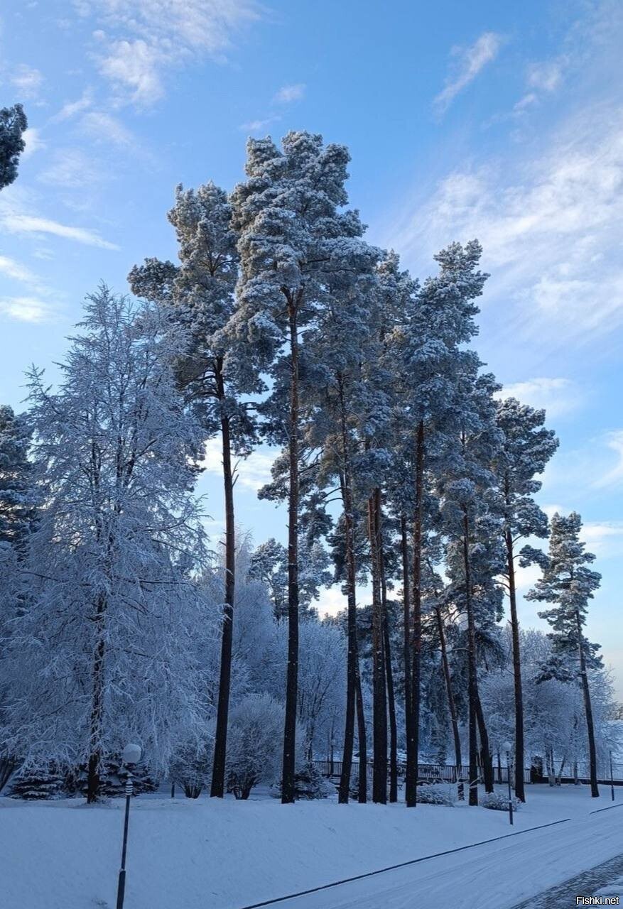 Сегодня подморозило