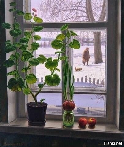 Зимний огород