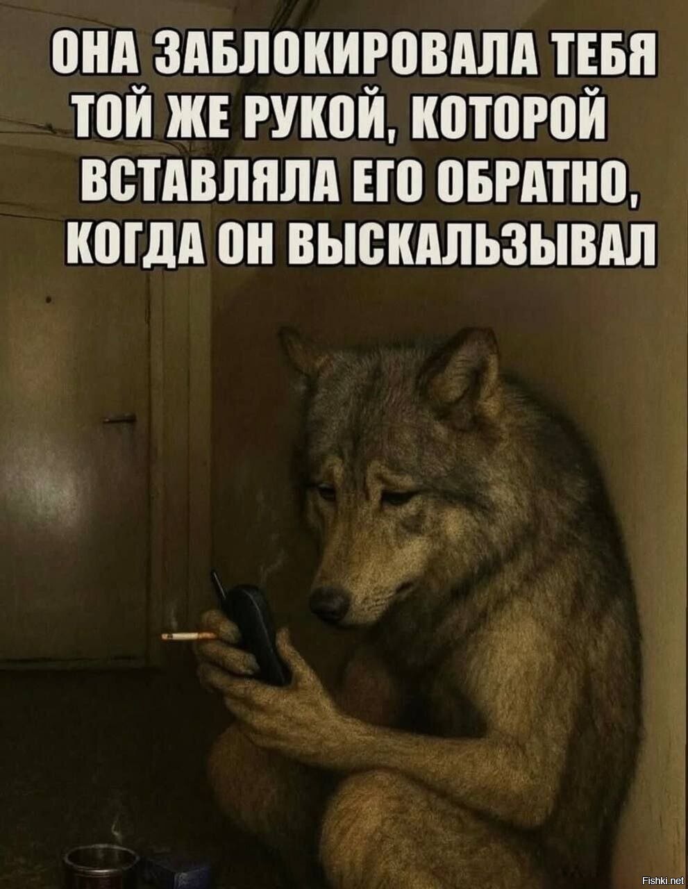 Солянка