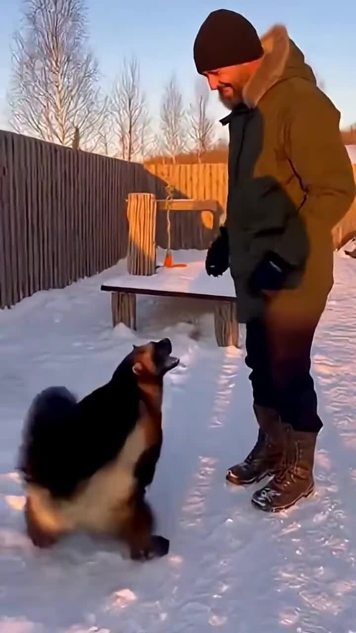 Росомаха Айка