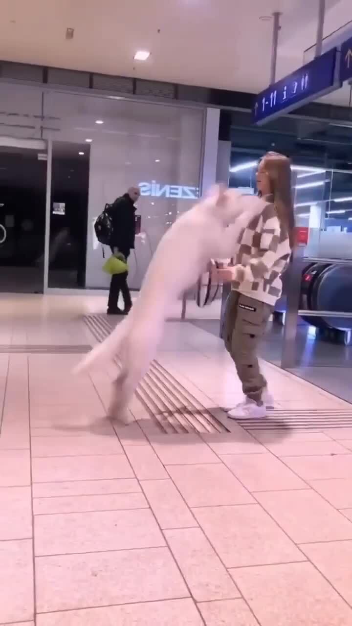 Страшно на эскалаторе 
