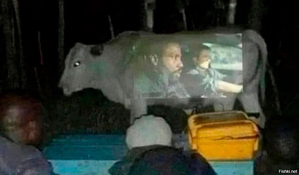 Солянка
