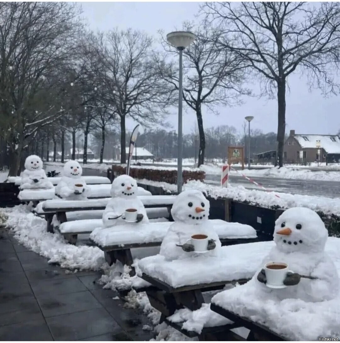 Солянка