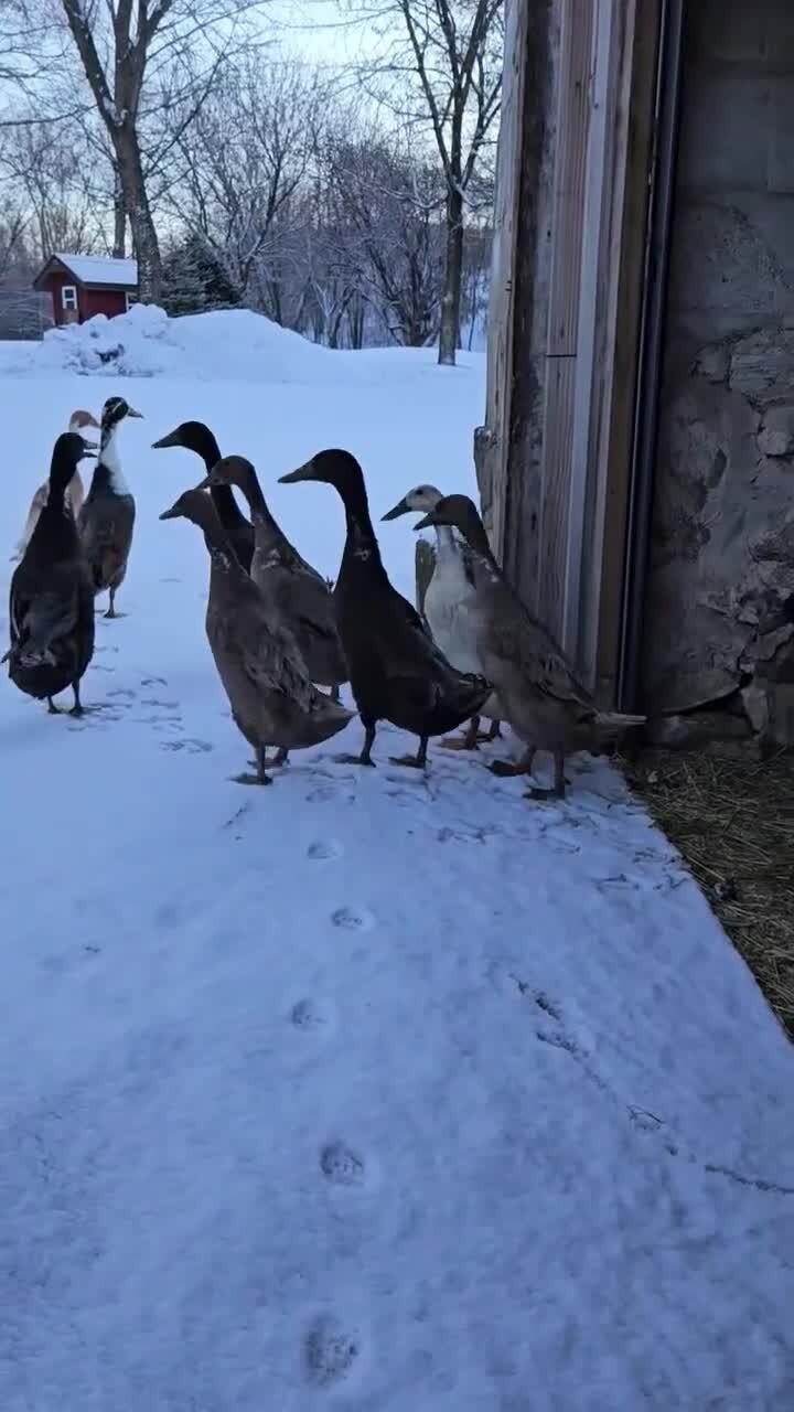 А у вас как погодка