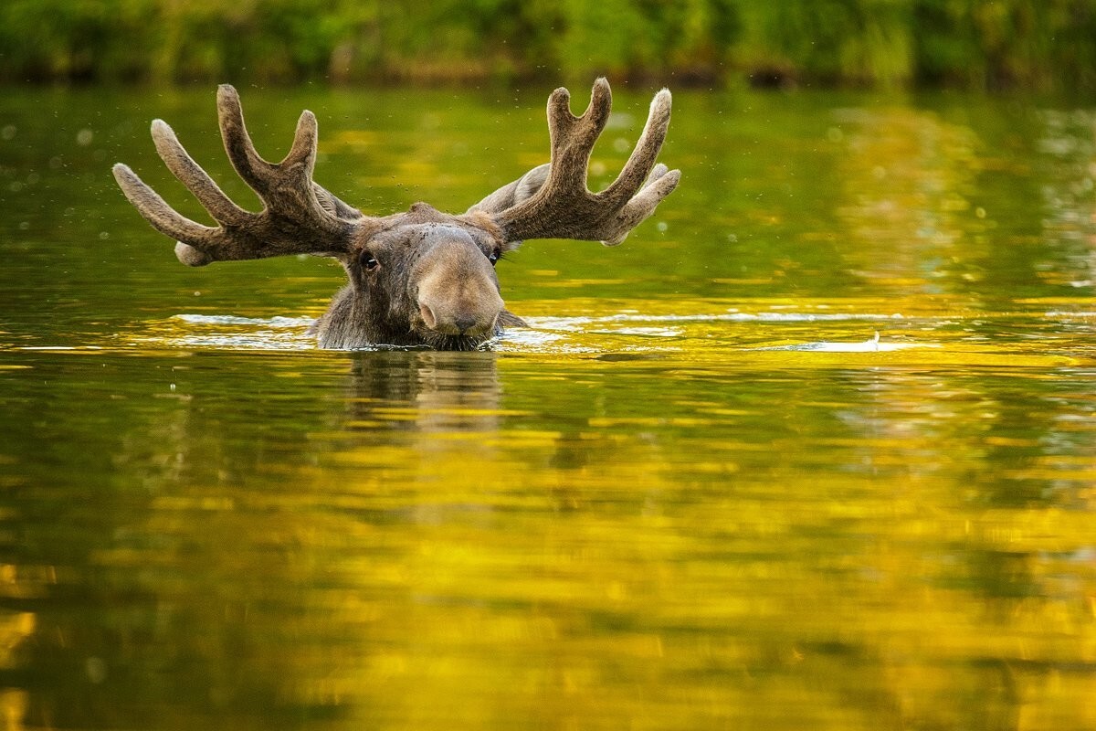 Лучшие фотографы России