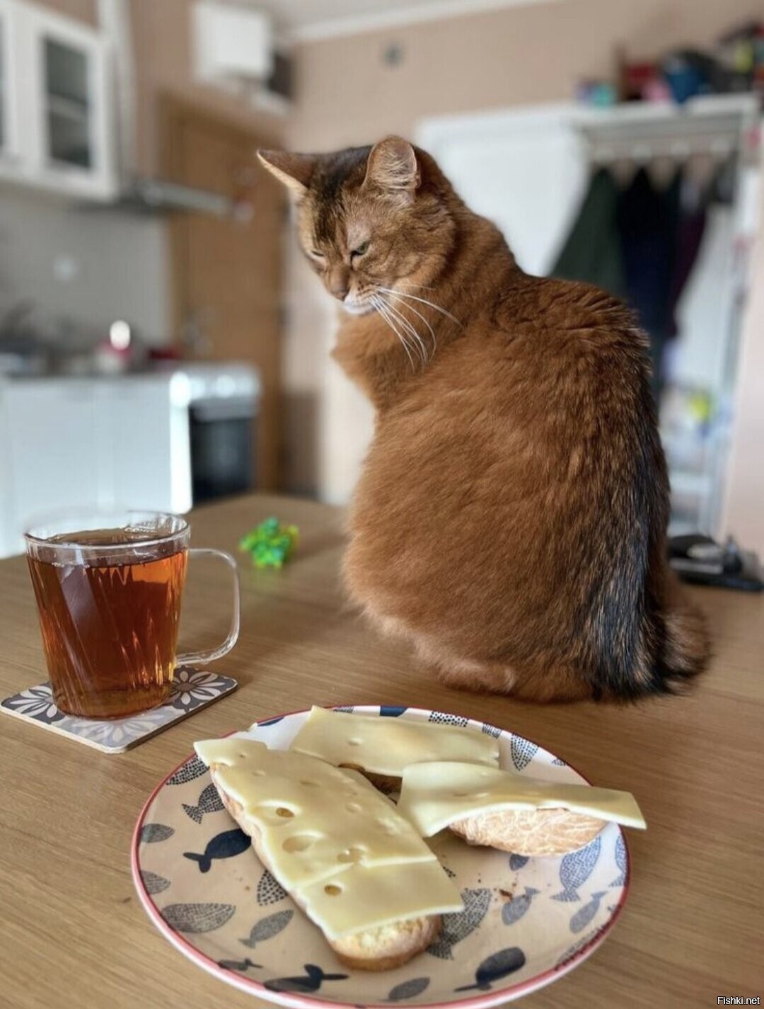 Доброе утро
