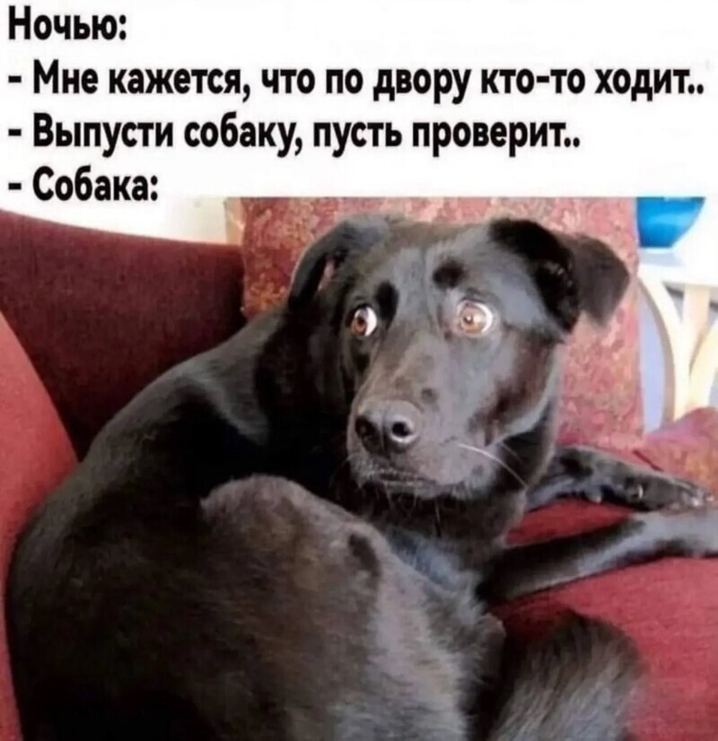 Юмор без границ