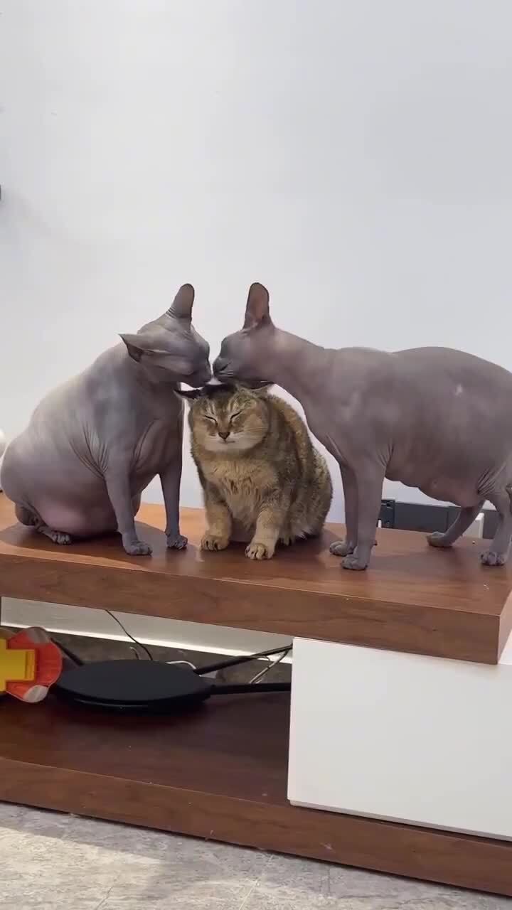 Внимание