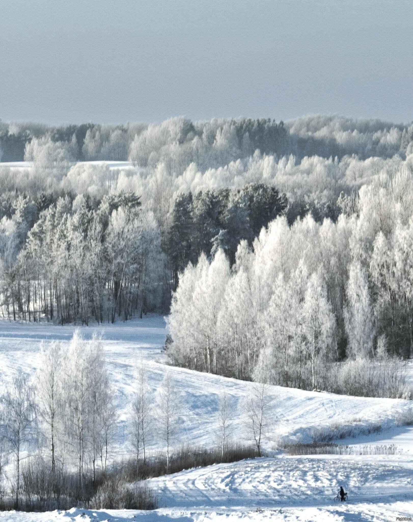 Солянка