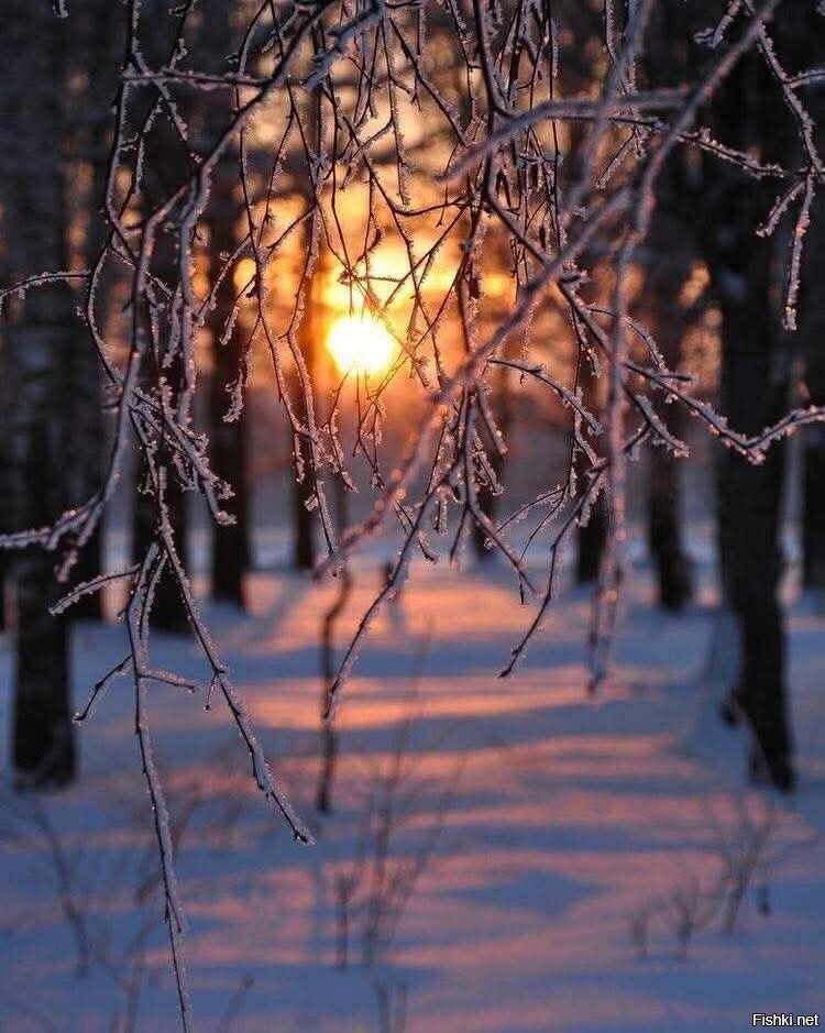 С добрым утром